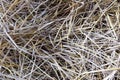 CloseupÃ¢â¬â¹ strawÃ¢â¬â¹ ofÃ¢â¬â¹ riceÃ¢â¬â¹ textureÃ¢â¬â¹ background.Ã¢â¬â¹